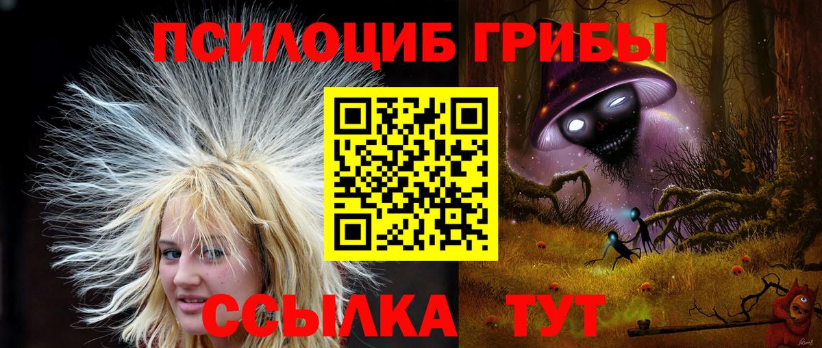 Галлюциногенные грибы мицелий  Вход с VPN  Отрадный 